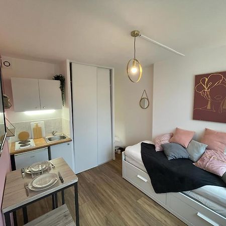 Rose, Studio Proche Centre Ville 凯恩 外观 照片